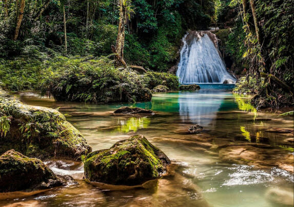 Caribbean, Jamaica